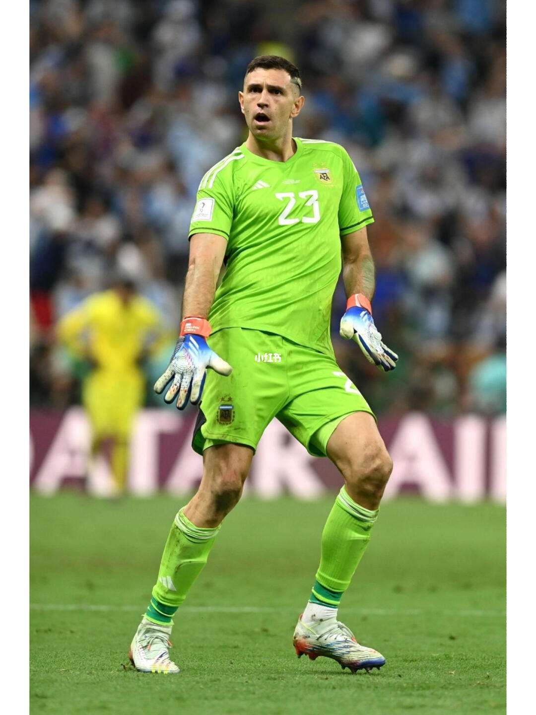 阿根廷运动员在比赛中施展拼搏精神的简单介绍 阿根廷运动员在比赛中施展拼搏精神的简单介绍