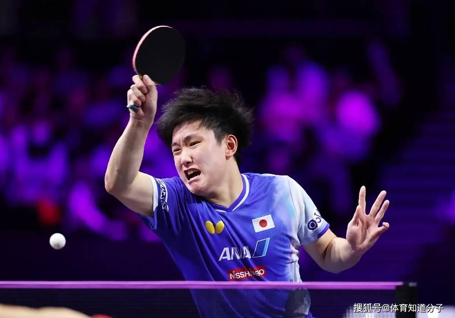 日本队碾压葡萄牙队，张本智和关键制胜